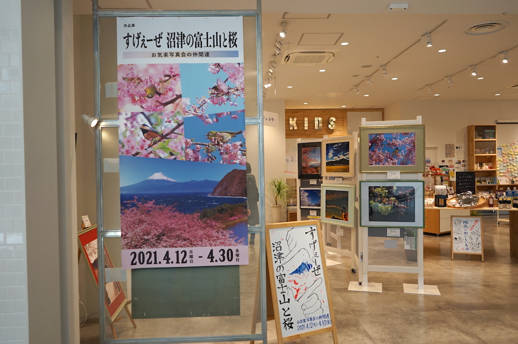 沼津 お気楽写真会 すげぇーぜ 沼津の富士山と桜 開催中 On Ridgeline