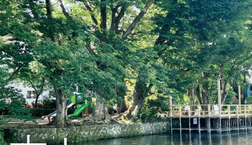 ［三島］言葉が湧水のようにあふれだす昼下がり「本と水辺」