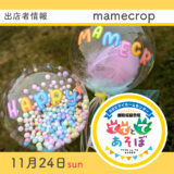 ててとてあそぼ5／mamecrop 「シャカシャカバルーン」